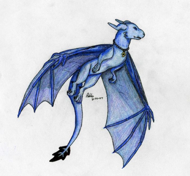 Nemiyoko Flying In Colors!