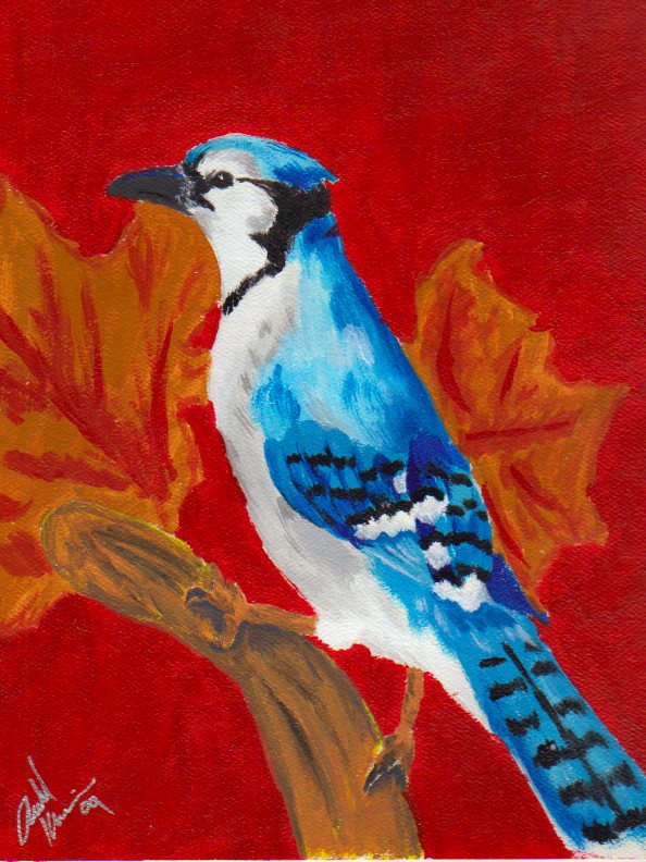 Blue Jay