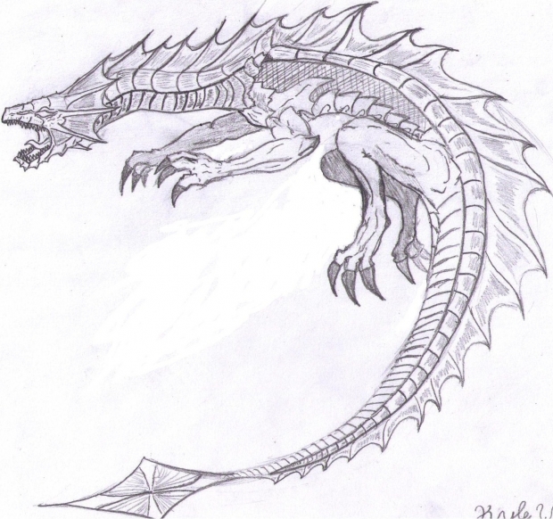 dragon