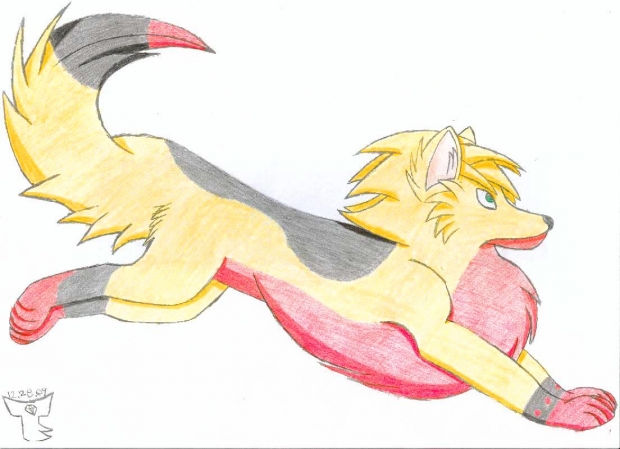 Lars Alexanderson Wolf