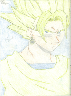 Vegetto