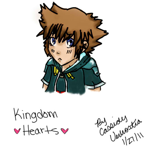 Sora :Kingdom Hearts: