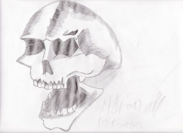 skull