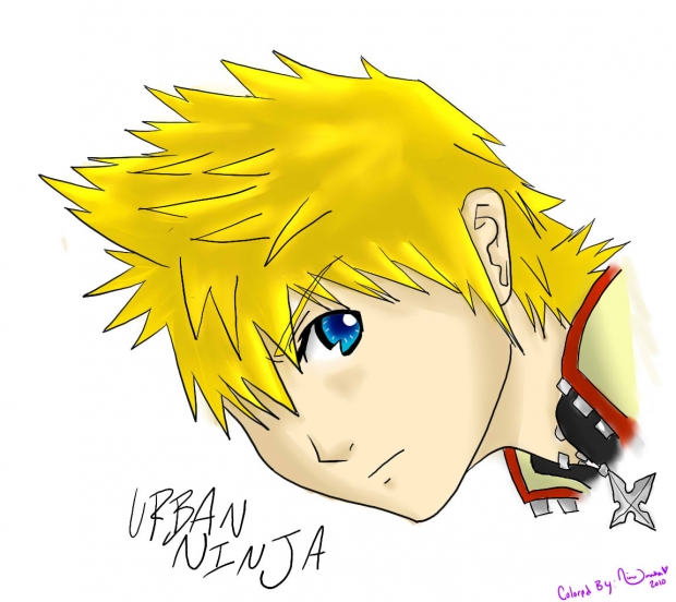 Roxas Color Request