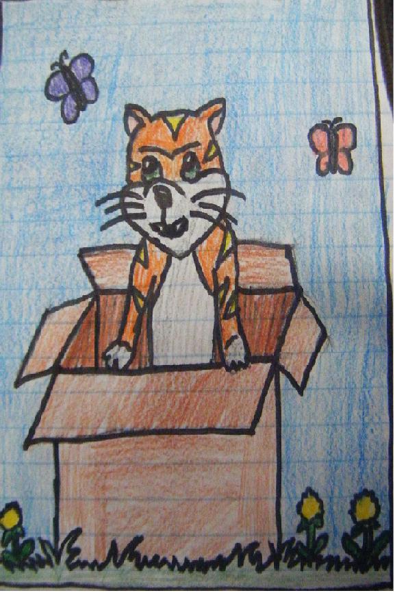 The kitty and the butterflies