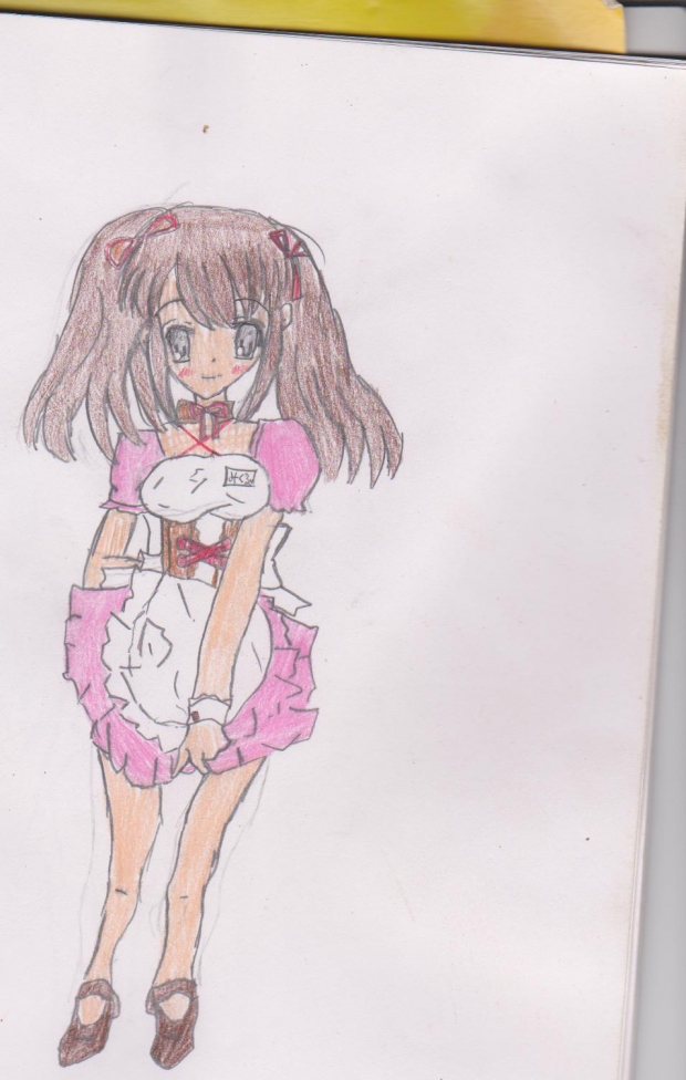 Mikuru battle waitress from the future