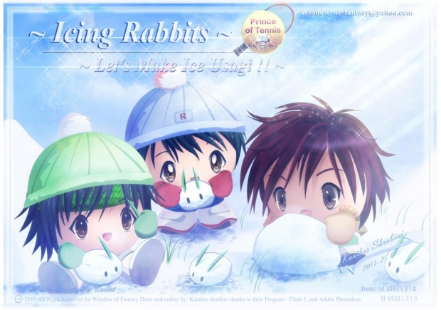 Winter Theme Icing Usagi