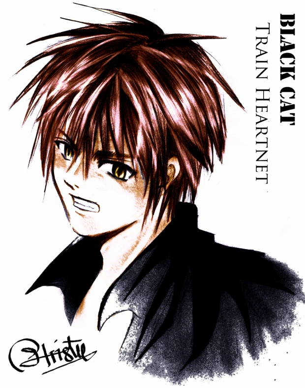 Train Heartnet coloured (color balanced)