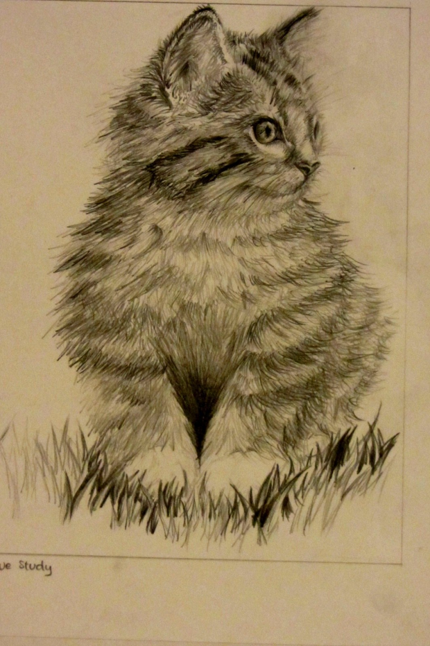 The KITTEN I TOLD YOU ABOUT :D