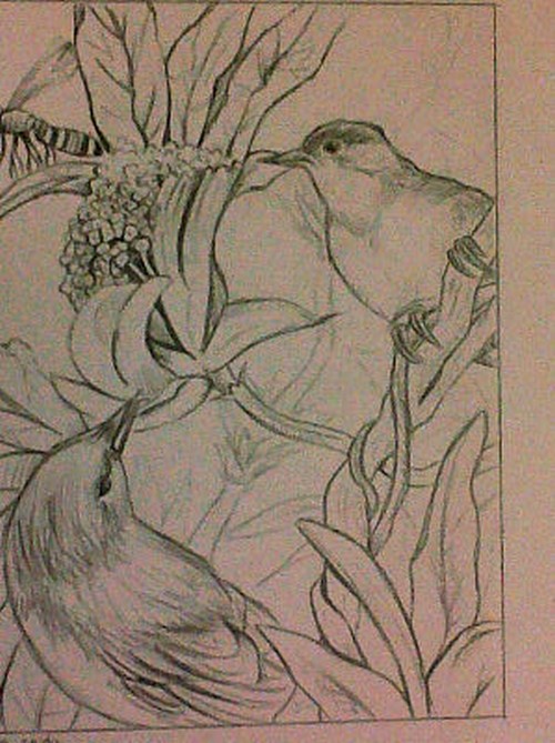 Form study home assignment (last)