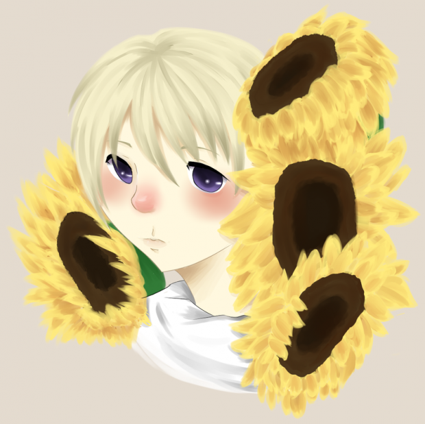 sunflowers