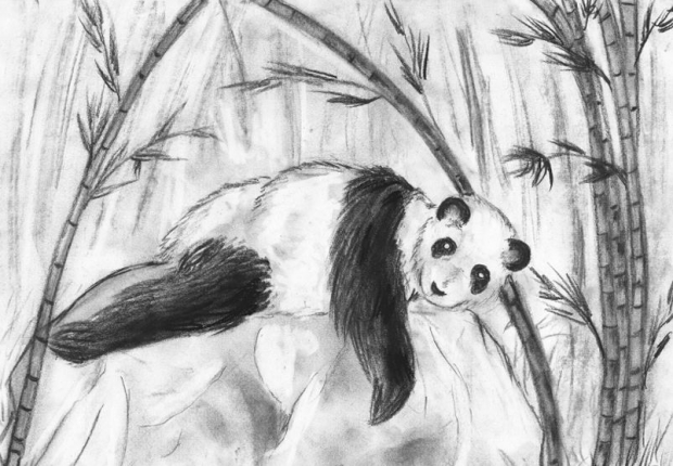 Charcoal panda