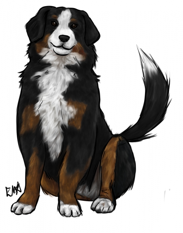 Digital Animal practice