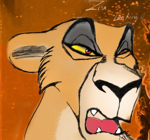 Zira coloured