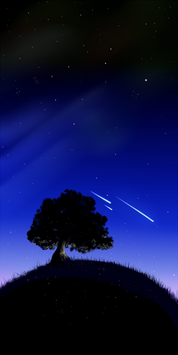 fireflies or nightskies?