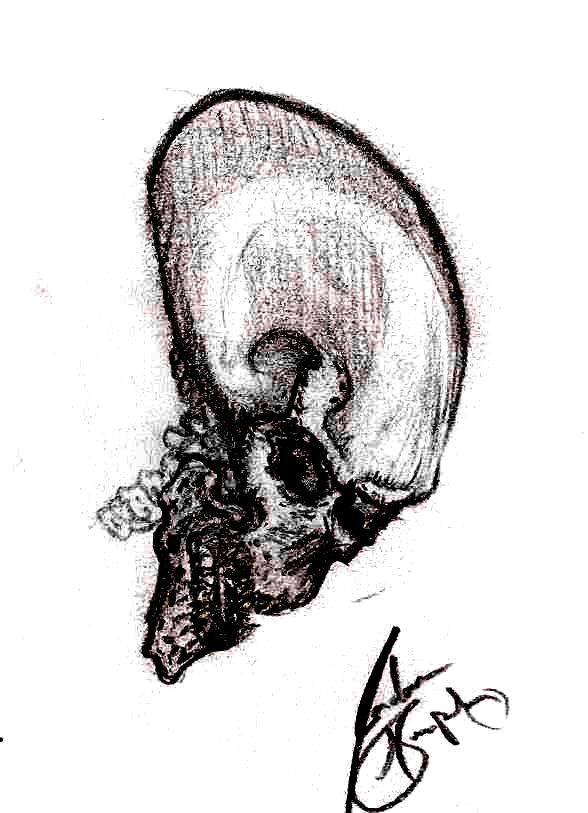 skull