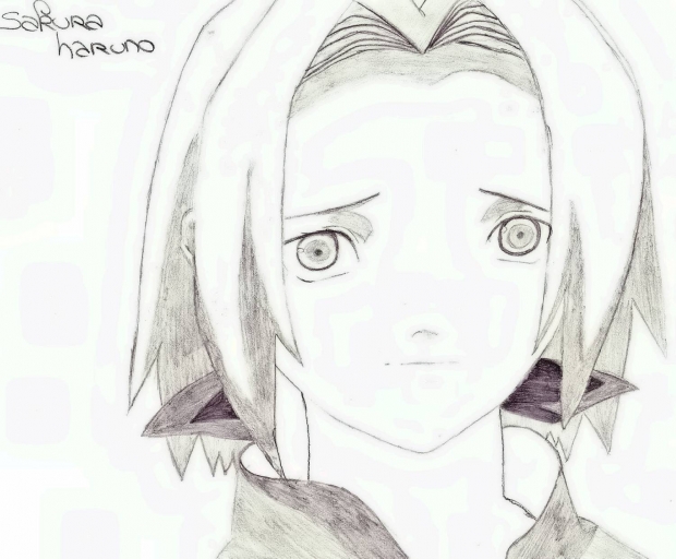 Sakura haruno