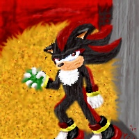 Shadow The Hedgehog