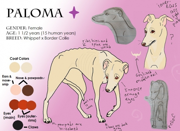 Paloma (reference sheet)