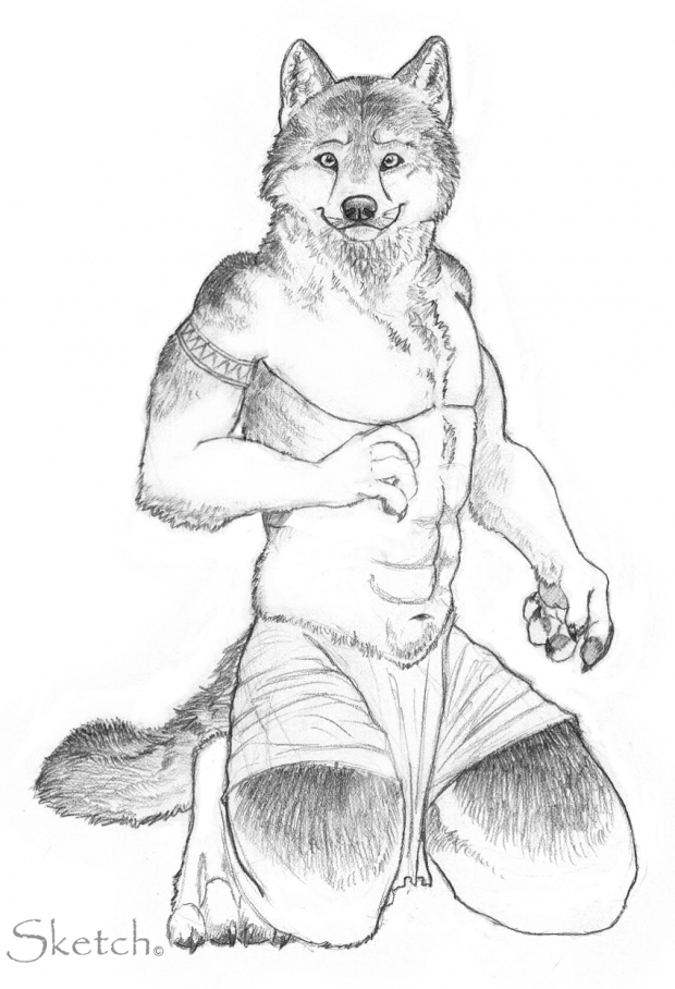 Anthro Wolf