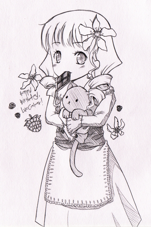 Raspberries & Chocolate