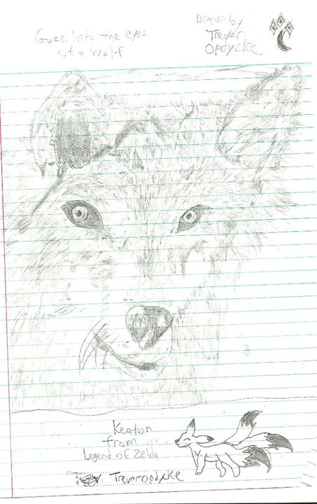 Gaze into the eyes of a wolf