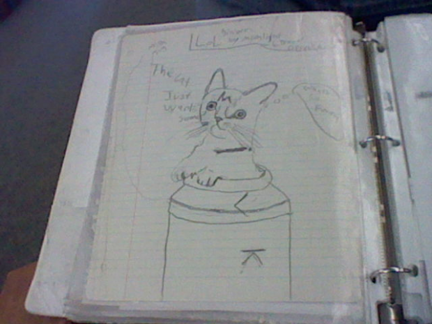 Cat just wants milk.