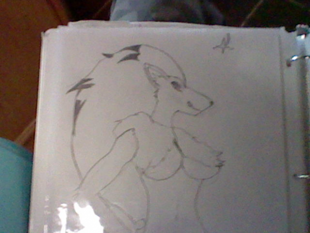Zoroark. My vixen.