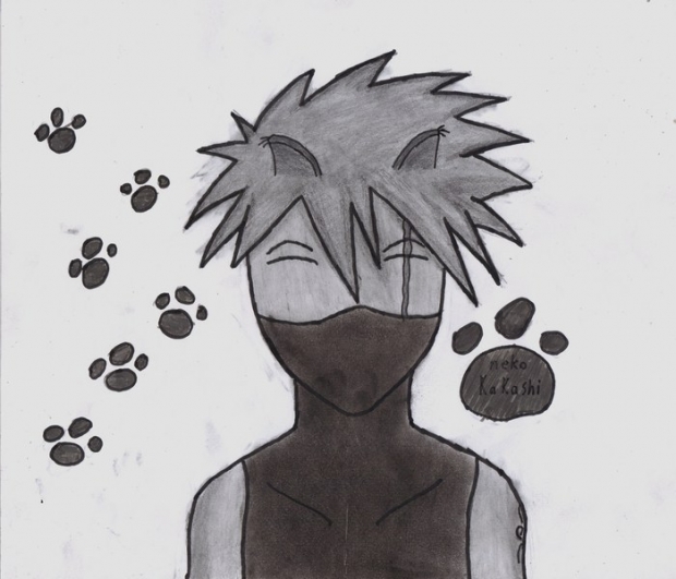 neko kakashi shade