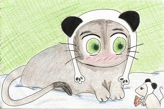 Panquest 2: Let's all wear the hat