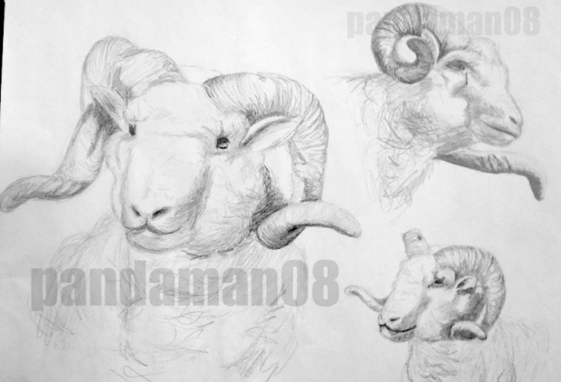 It's Taxidermy Time  ^-^