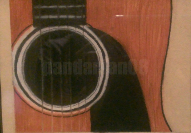 Acoustic guitar close up