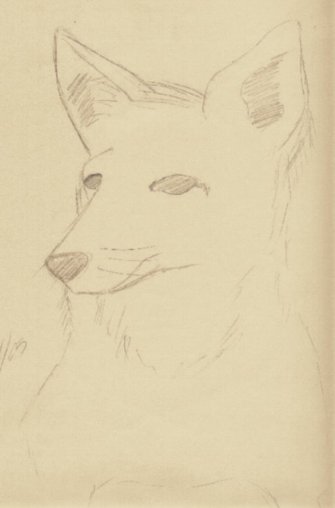 Fox #1