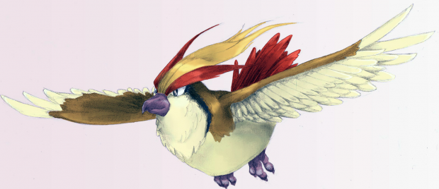 Pidgeot