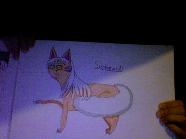 Sesshomaru as a Cat