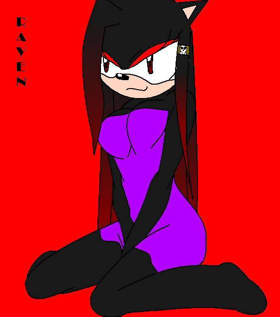 Raven black The hedgehog