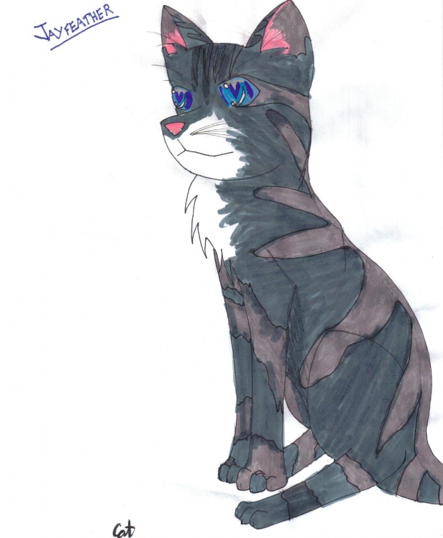 Jayfeather