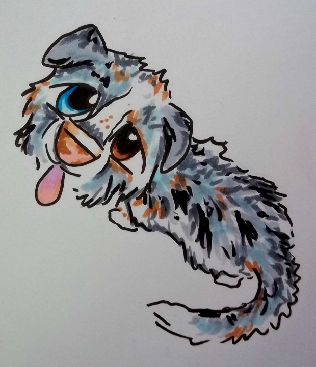 Australian Shepherd chibi