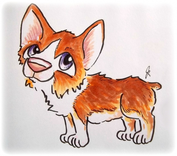 Corgi chibi dog