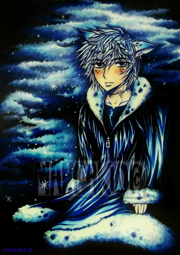 Stormy Snowflake-PIF