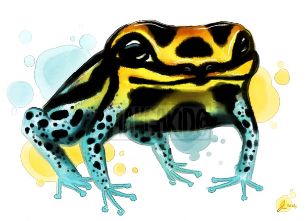 Dart Frog! <3