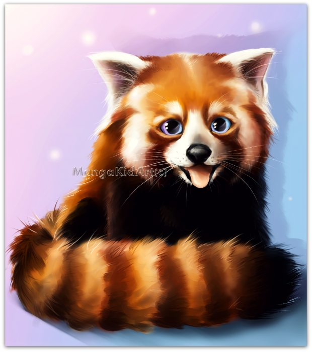 Little Red Panda <3