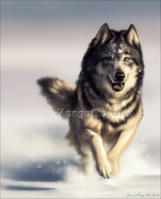 Dashing Through the Snow