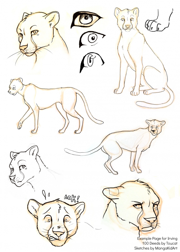 Sketches for 100 Deeds!