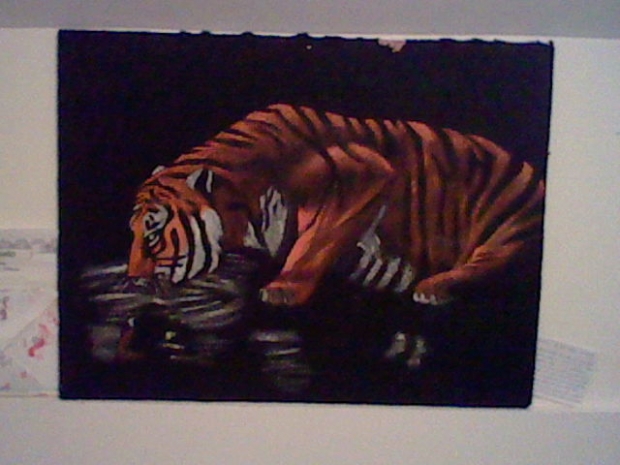 Clothe Chalk tiger