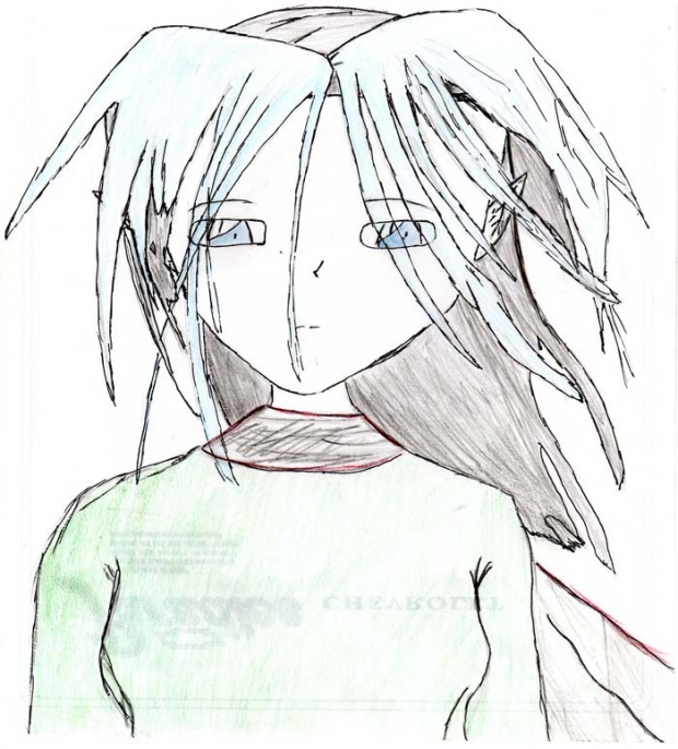 What The Past Brings