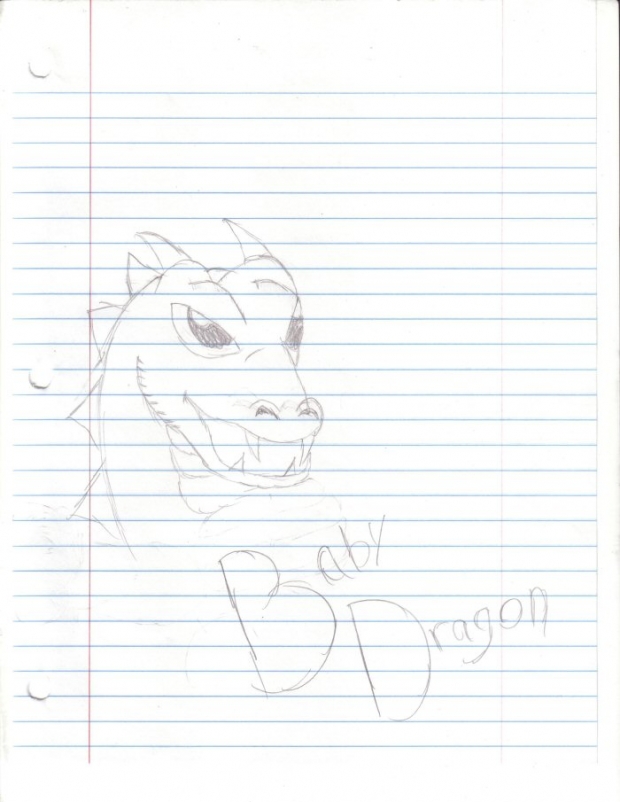 Baby Dragon