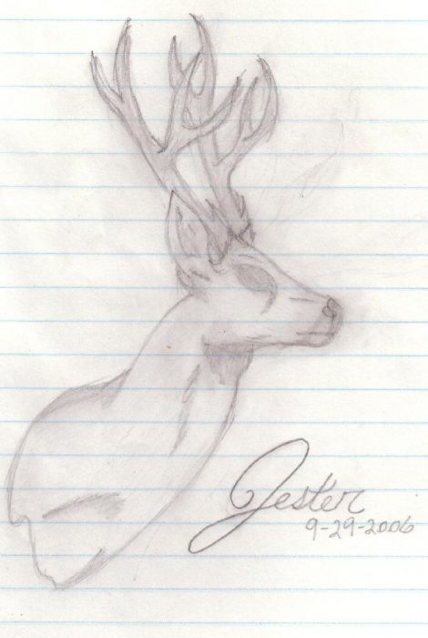 Why I Feel Like I'm Being Watched..