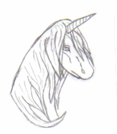 Unicorn Head