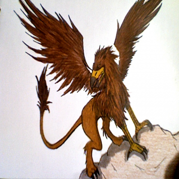 Griffon